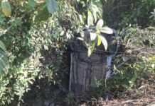 सावंतवाडी-बेळगाव महामार्गावर माडखोल फुगी येथील वळणावर कारचा भीषण अपघात; सुदैवाने कोणतेही जीवित हानी नाही