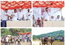 आरवली सखेलखोलमध्ये पारंपरिक बैलगाडा शर्यतीचा थरार; भाजप युवा नेते विशाल परब यांच्या उपस्थितीने रंगली स्पर्धा